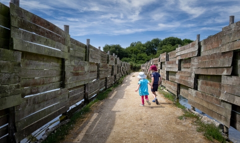 Brownsea © Damian Garcia