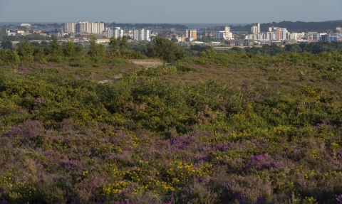 View to Poole © Mark Heighes