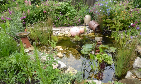 Wildlife friendly garden by Briony Baxter