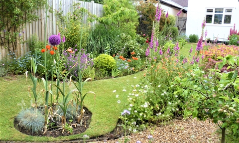 Photo - lawn and flowers in a garden