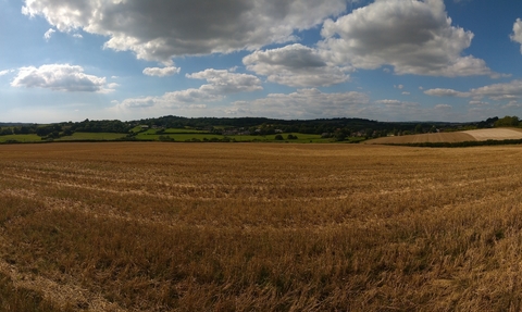 Photo - panorama of farmland with trees in the distance