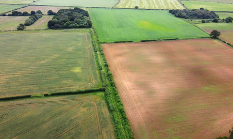 Photo - aerial view of fields, Bere Regis