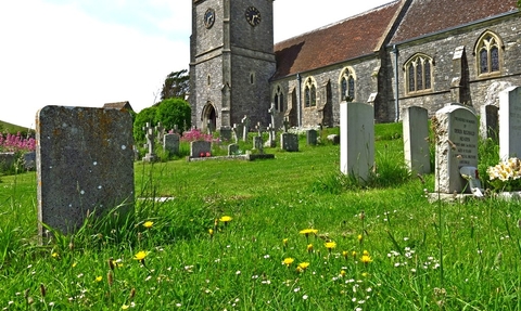 Photo showing church, gravestones and wild flowers