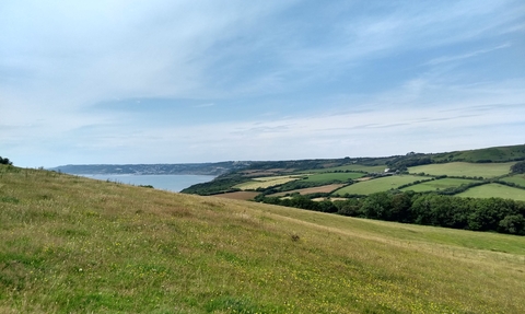 Neut Grassland St Gabriel's