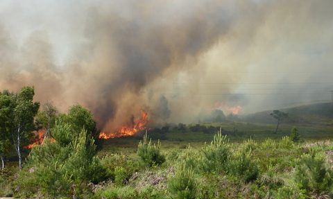 Upton Heath fire