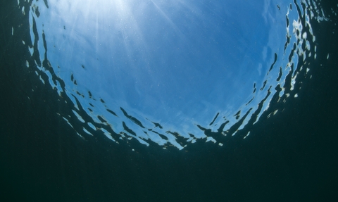 Underwater shot