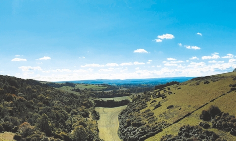 View from Fontmell Down