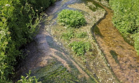 Chalk stream