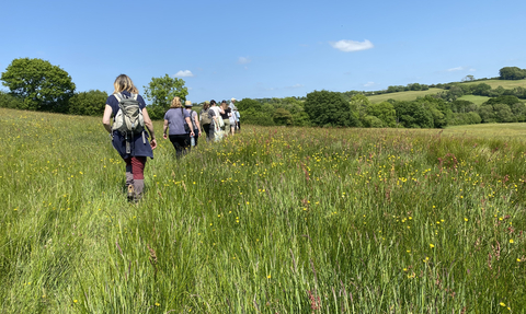 Kingcombe Meadows guided walk