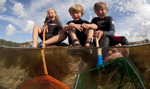 Children rockpooling 