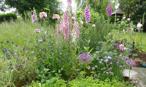 Pollinators in garden