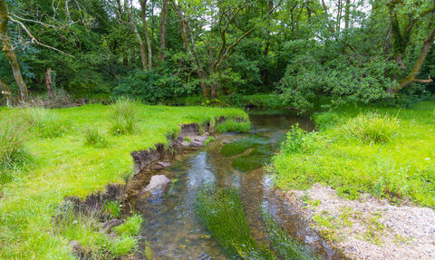 River Hooke
