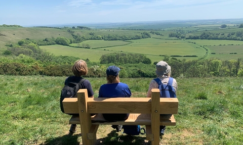 Lyscombe bench