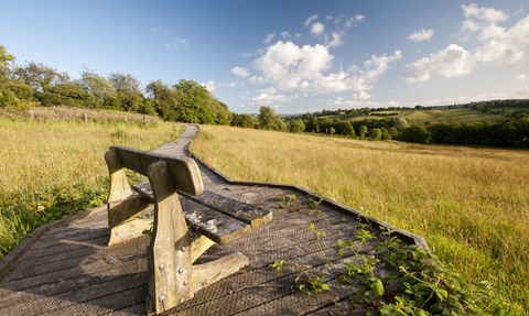 Bench and boardwalk