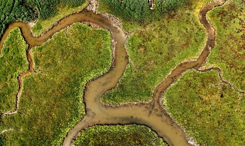 Aerial view of Lytchett Bay nature reserve