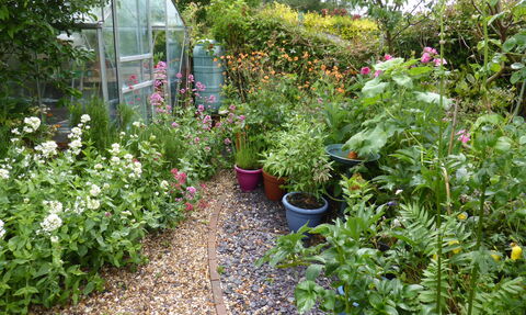 Small greenhouse garden