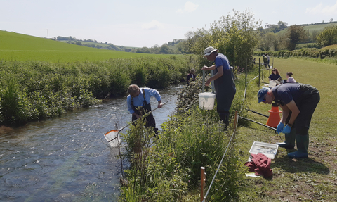 people monitoring riverfly along a river