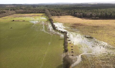 Aerial view of Wild Woodbury showing the wetlands created through the river restoration