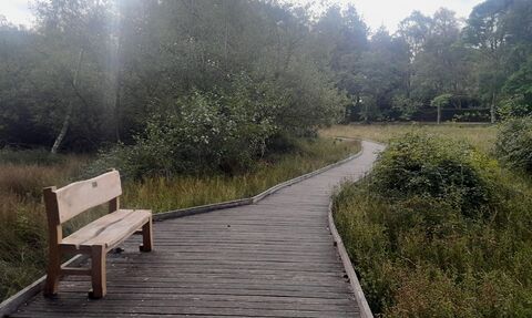 A handmade memorial bench on a boardwalk at brownsea island on a misty morning
