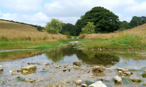 Lyscombe National Nature Reserve