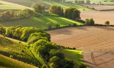 Chalk downland landscape with mixed farming © Guy Edwardes/2020VISION