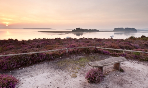 Looking at Brownsea © Ross Hoddinott/2020VISION