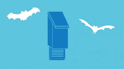 Simple actions bat box illustration
