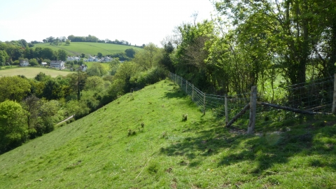 Haydon Hill © James Hitchen