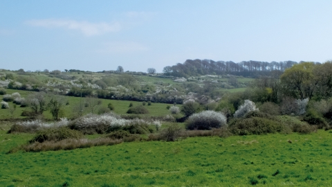 Lorton Meadows © Vicky Ashby