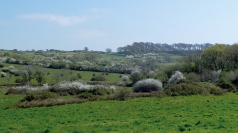 Lorton Meadows © Vicky Ashby