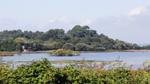 Brownsea Island © Brian Bleese