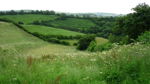 South Poorton © Jane Franklin