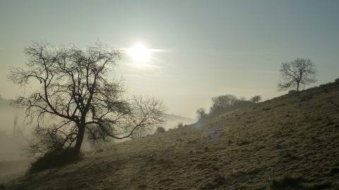 Haydon Hill © James Hitchen