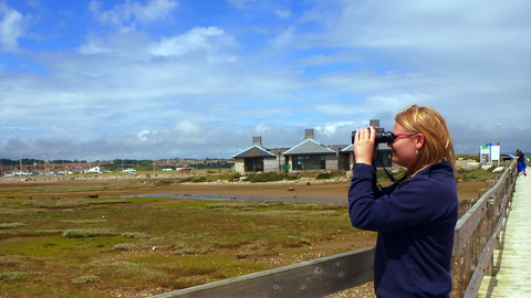 Bird Watching over the Fleet Lagoon at Chesil