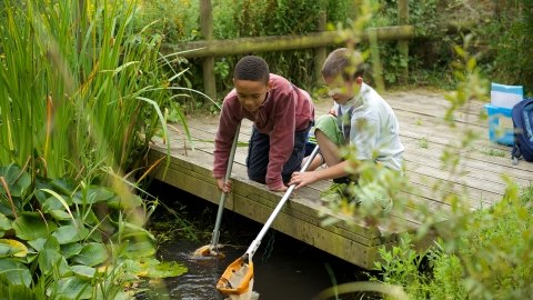 Children pond dipping at Lorton Meadows by Katharine Davies 