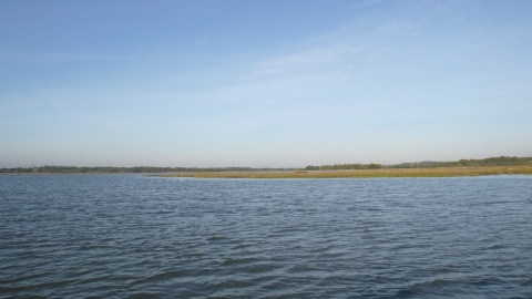 Lytchett Bay © Nicky Hoar