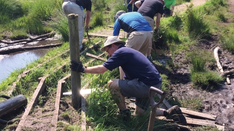 Brownsea Island Volunteers