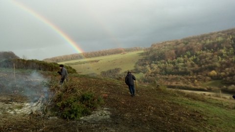 North Dorset Volunteers