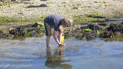 Child exploring Fleet Lagoon at Chesil © Dorset Wildlife Trust