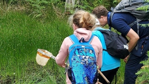 Photo showing young people visiting Brownsea Island with a girl with a net in her hand