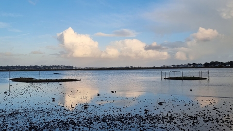 Brownsea lagoon