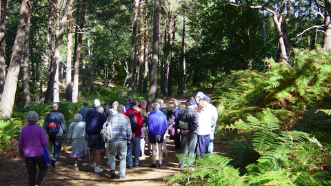 Visitors to Brownsea Island