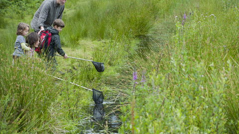 Family river dipping