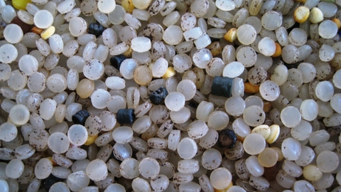 Nurdles 2013