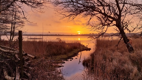 Brownsea lagoon sunrise 