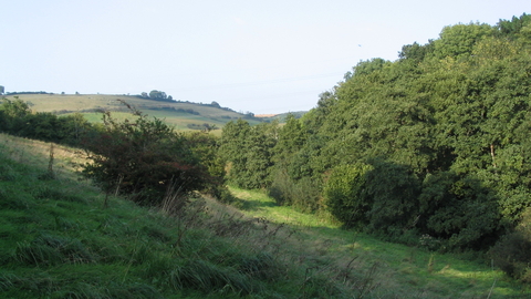 Peascombe nature reserve