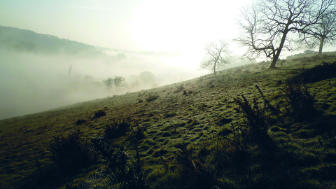 Haydon Hill nature reserve