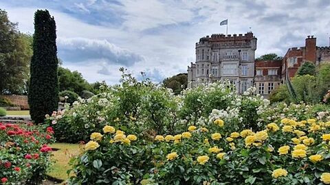 Castle with flowers in foreground