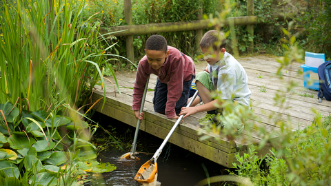 Two children on a wooden platform dipping nets into a pond which is surrounded by lush vegetation.