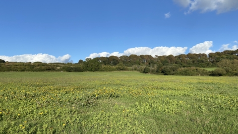 Lorton Meadows